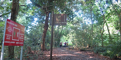 Hauptbild für Mandai T15 Trekking Trail