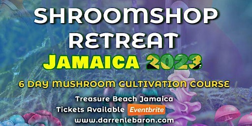 Shroomshop Retreat Jamaica