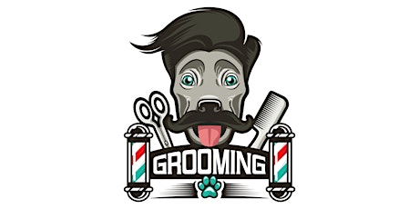 Grooming 101
