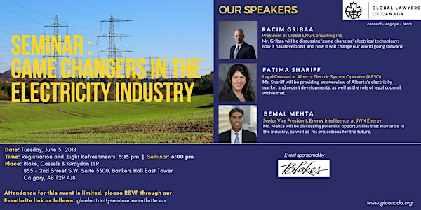 Seminar: Game changers in the electricity industry