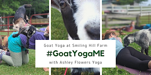 Imagem principal de Goat Yoga - Summer 2024