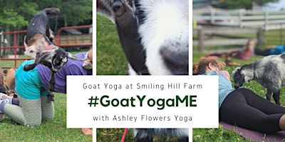 Imagem principal do evento Goat Yoga - Summer 2024