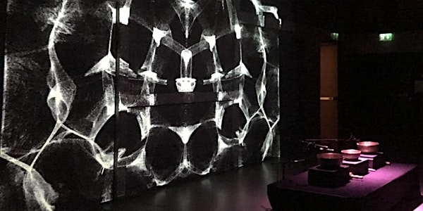Art in Flux: Illusions in Digital Performances