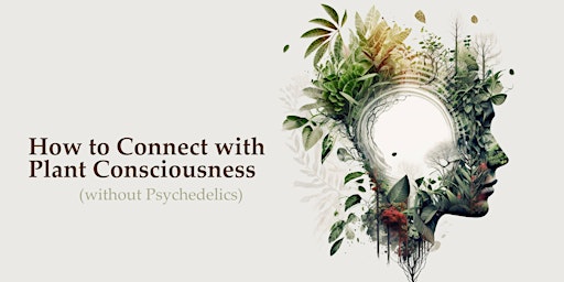 How to Connect with Plant Consciousness (without Psychedelics)