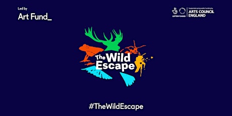 Imagem principal de The Wild Escapes Eco School