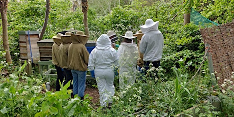 Introduction to Beekeeping 2023