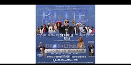 Formal Different Shades Of Blue and Diamonds Concert Birthday Bash