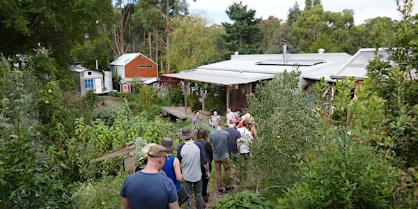 Permaculture house + garden tour