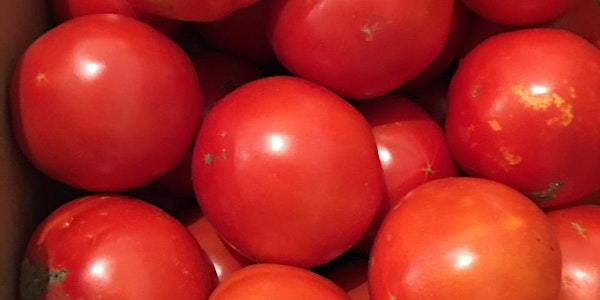 Tomato Challenge