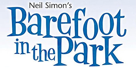 Barefoot in the Park primary image
