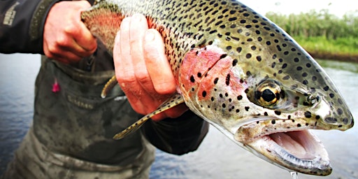 FBR Series - EXPLORE! a Discussion About Fly Tying and Fishermen’s Impacts primary image