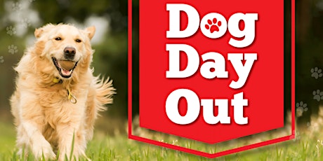 Dog Day Out primary image