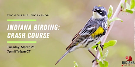 Indiana Birding: Crash Course