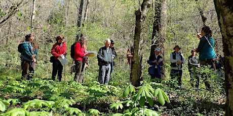 WNC Medicinal Herb Growers - Identifying Woodland Plants