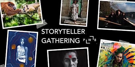 Storyteller Gathering