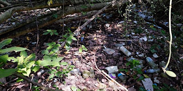 Sat 9th June 2018: Sungei Mandai Kechil mangrove cleanup