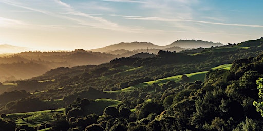 Imagem principal de Wild Herb Ramble: Tilden Nature Area