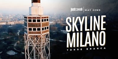 Skyline - Cocktail Party Skyline - Cocktail Party