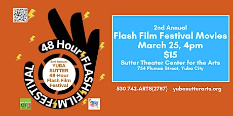 2nd Annual 48-Hour Flash Film Festival, Viewing