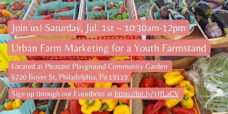 Urban Farm Marketing for a Youth Farmstand
