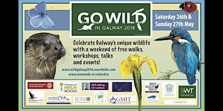 Go Wild in Galway - 26th & 27th May 2018 primary image