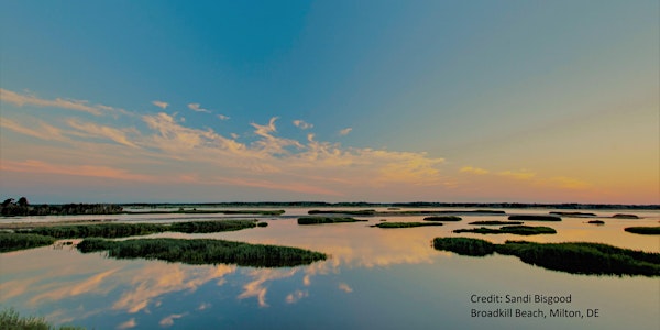 Delaware Estuary CCMP Webinar