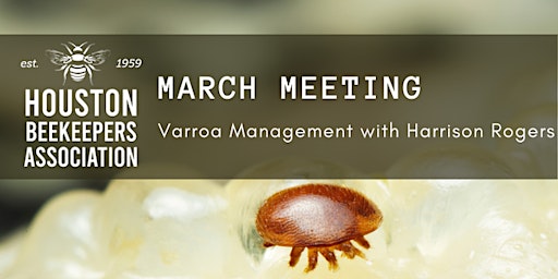 March Meeting | Varoa Management with Harrison Rogers