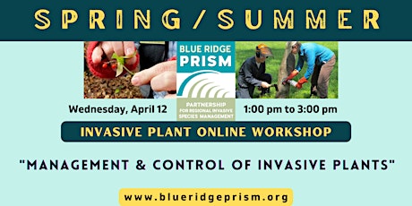 Spring/Summer Invasive Plant Workshop: Management and Control (Zoom)