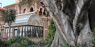 Imagem principal do evento Australian Heritage Festival - Significant Trees of Rippon Lea