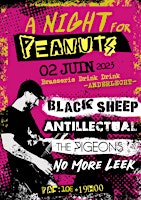 A night for Peanuts w/ Black Sheep + Antillectual + The Pigeons + No More L