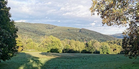 Hauptbild für LET´S EXPLORE THE BEAUTIFUL VIENNA FOREST - HIKING TOUR