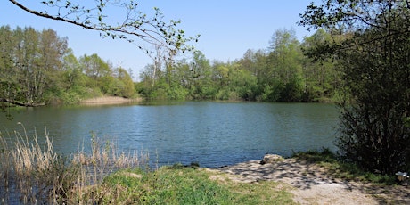 Chantier participatif au Marais de Prodon