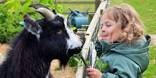 Little Wonders Farm Adventures Parent & Child Sessions