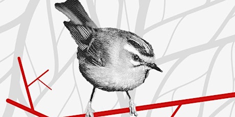 Image principale de Initiation à l'ornithologie - Printemps 2023