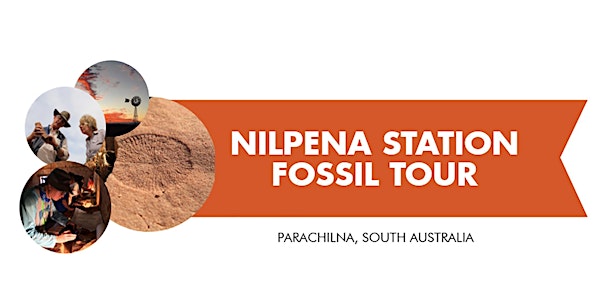 Nilpena Station Fossil Research Tour
