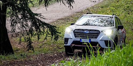 Hauptbild für Prova Subaru su percorsi estremi
