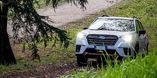 Prova Subaru su percorsi estremi