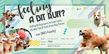 Feeling a bit RUFF? Calling All Dog Lovers to Come Learn the Best Tips & Tricks(FREE) primary image