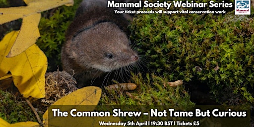 The Common Shrew - Not Tame But Curious - TMS Webinar