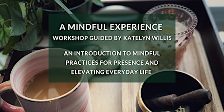 A Mindful Experience primary image