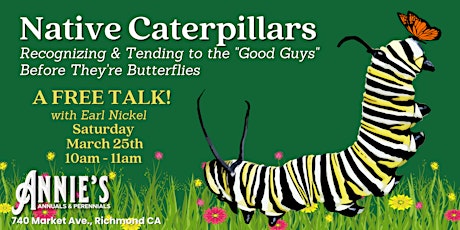 Native Caterpillars – recognize the “good guys”  before they're butterflies
