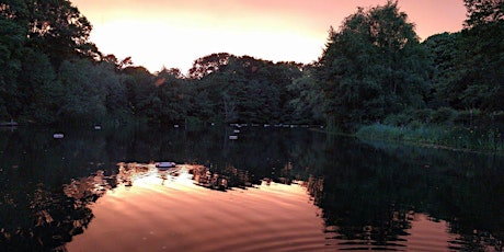 Primaire afbeelding van Kenwood Ladies Bathing Pond (Tues 29 Aug  - Mon 4 Sep)