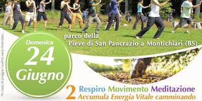 Taiji, Energia & Pic-Nic: Accumula energia Vitale camminando Taiji, Energia & Pic-Nic: Accumula energia Vitale camminando