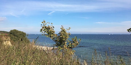 Hauptbild für Achtsamkeitswalk - genieße den Moment