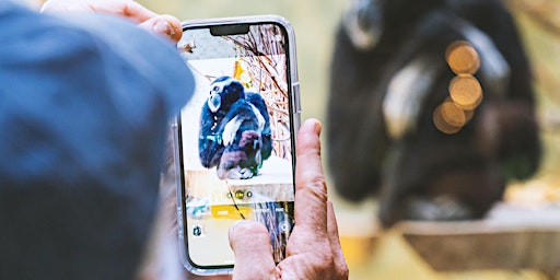 Fun With Photos: How to Save, Share, and Edit Photos with your Smartphone