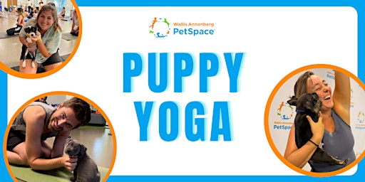 Imagem principal do evento Puppy Yoga at Annenberg PetSpace