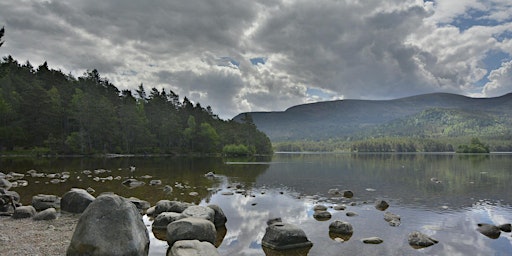 Art Inspired by Cairngorms National Park in Scotland primary image