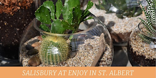 Succulent & Cacti Garden Workshop | Salisbury at Enjoy | St. Albert