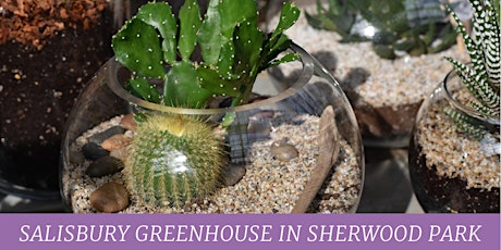 Succulent & Cacti Garden Workshop | Salisbury Greenhouse | Sherwood Park