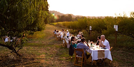 Dinner in the Field at Douglas Farm w/ Laurel Ridge and Coin Toss Brewing primary image